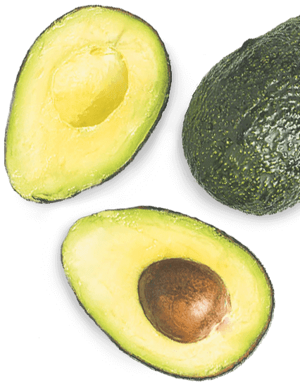 Avocado - simbolo di alimentazione sana con Keto Slim Cream